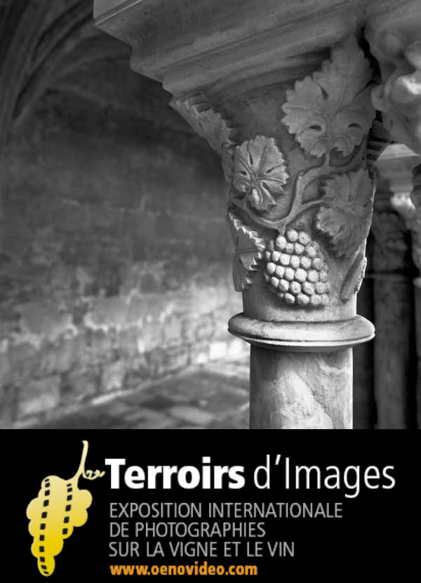 Marie VIDAL - auteure photographe artiste - terroirs images